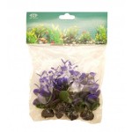 ΔΙΑΚΟΣΜΗΤΙΚΟ ΦΥΤΟ ΕΝΥΔΡΕΙΟΥ 5ΤΜΧ ΣΕ ΔΙΑΦΟΡΑ ΣΧΕΔΙΑ